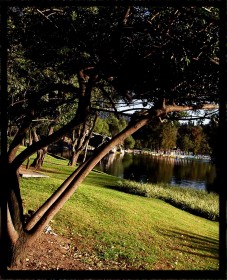 El Lago de Chapultepec